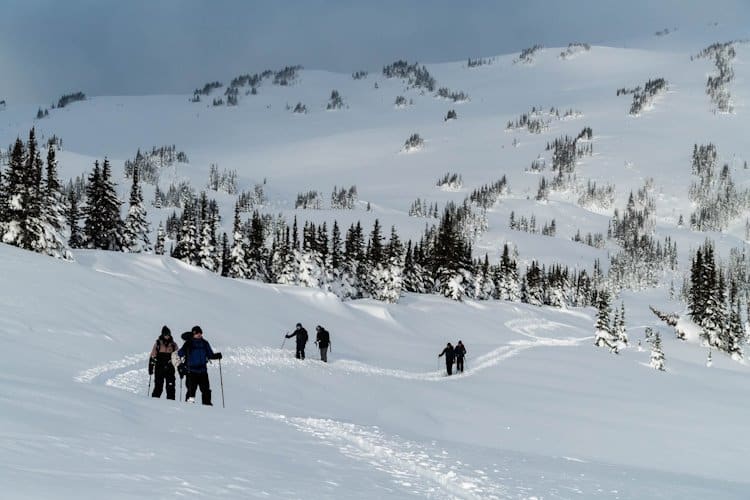 Six backcountry skiers on twisty snowy path in the mountains