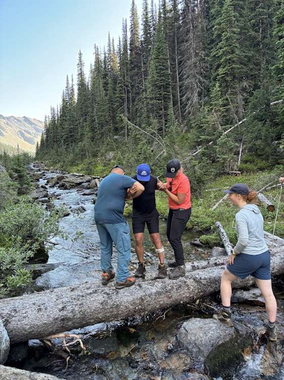 Visually impaired hiker, Jon, crossing a river on two parallel logs with the assistance of two "sighties", one on either side of him.