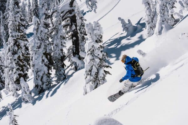 Snowboarder riding along powdery slope with various trees covered in thick snow.