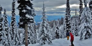 A skier stands at the top of a black ski run surrounded by snow-covered trees and a cloud-covered town below.