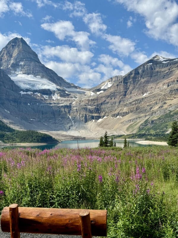 rugged mountain landscape