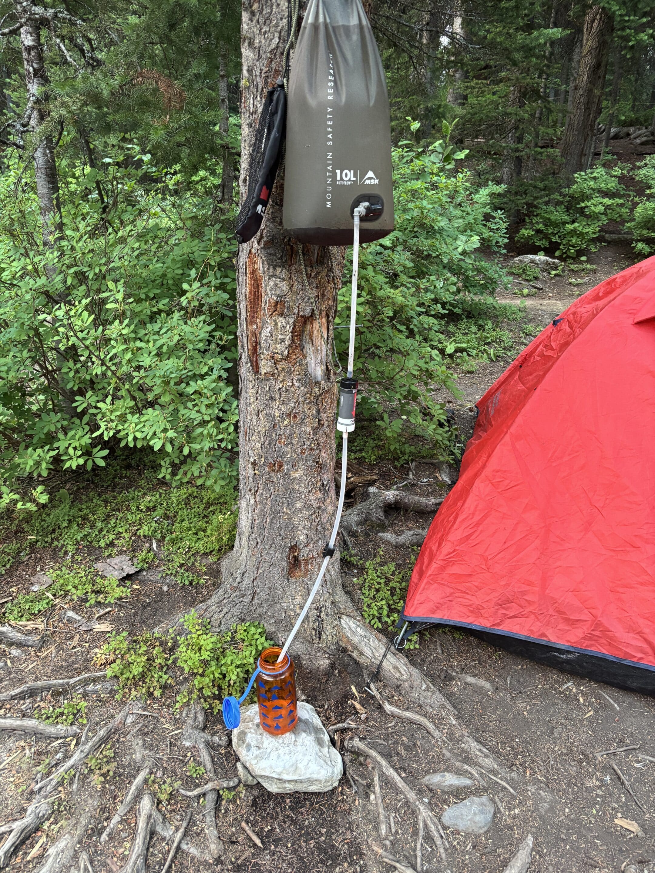 A MSR 20L gravity filter hangs from the base of a tree filtering water into a Nalgene bottle.